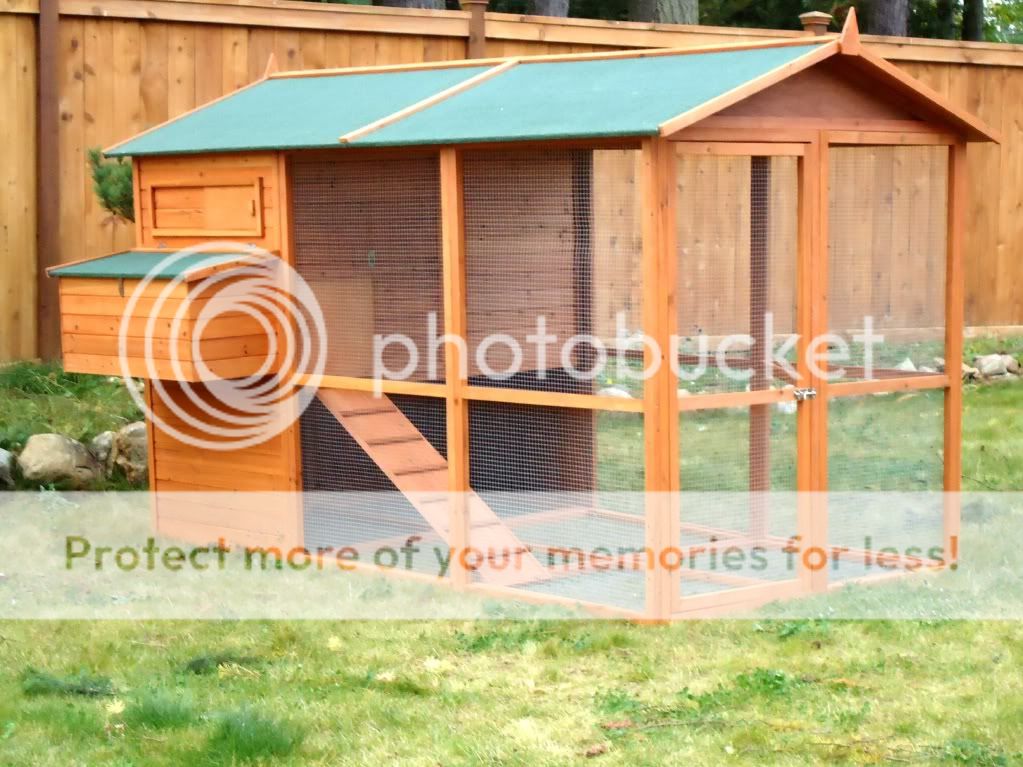 Large Chicken CoopRabbit Hutch With Run Predator Proof!850 Photo by